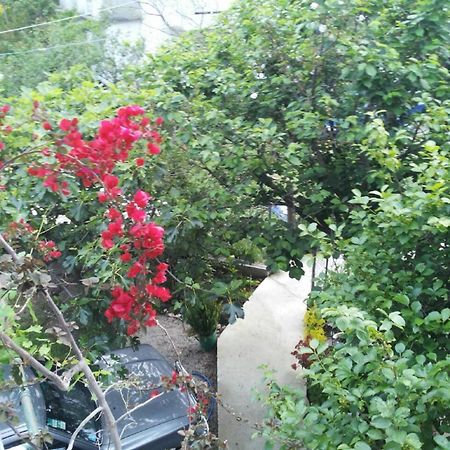 Apartments Blago Sutomore Dış mekan fotoğraf