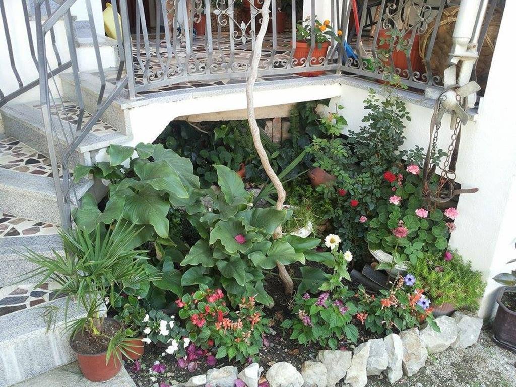 Apartments Blago Sutomore Dış mekan fotoğraf