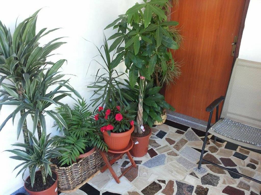 Apartments Blago Sutomore Dış mekan fotoğraf