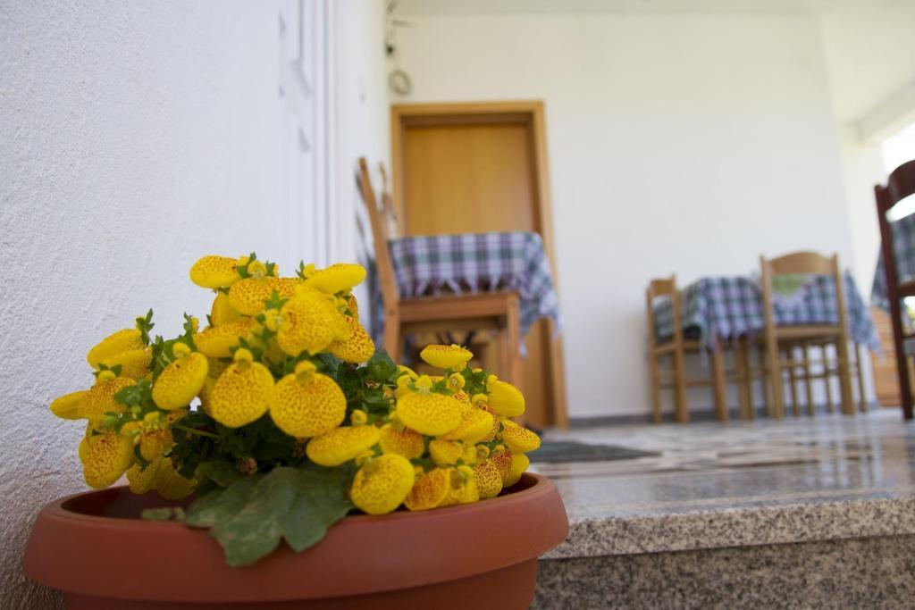 Apartments Blago Sutomore Dış mekan fotoğraf