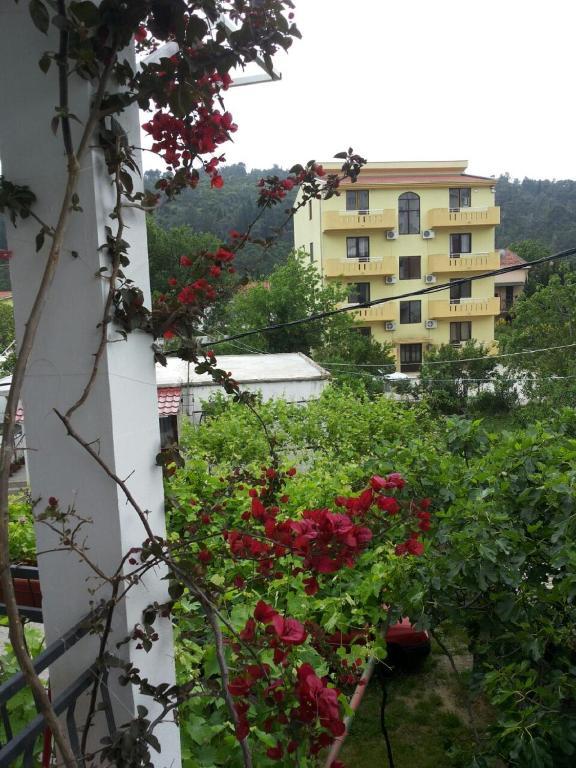 Apartments Blago Sutomore Dış mekan fotoğraf